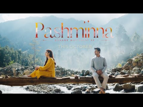 Pashmina.. Upcoming serial