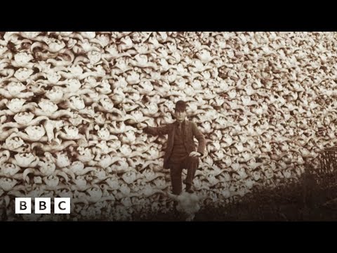 The story behind the famous ‘bison skull’ photo | BBC Global