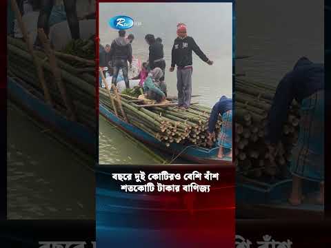 দেশের পাহাড়ে বছরে মিলে দুই কোটিরও বেশি বাঁশ #bamboo #news