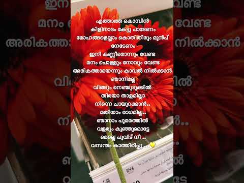 Aattuthottil 🎶 Athiran song 🎧 lyrics #lyrics_whatsapp_status #fahadhfaasil #shorts