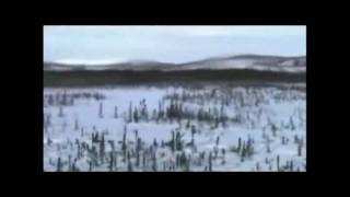 Iditarod Trail Song by Alaskas Hobo Jim