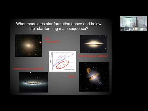 CITA 1037: Gas and star formation in the nearby universe with ALMaQUEST