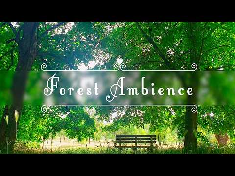 Forest Therapy 🌳 Positive Energy, Birds Singing & Healing Forest Sounds 🌳 Fresh Morning Meditation