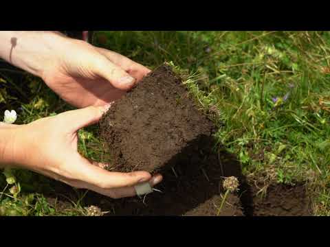 Biodiversity Monitoring South Tyrol - a long-term project