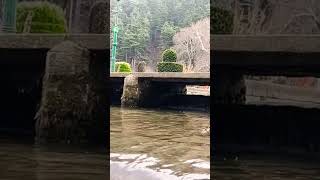 Achabal nag water flow High level #love #davidsvlogs #nature #vlogging