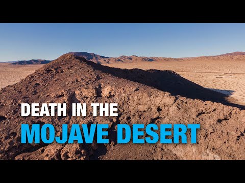 Death in the Mojave