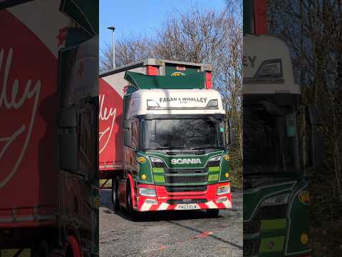 Fagan & Whalley Scania G Series at Lymm Truckstop #truck #shorts #youtubeshorts #shortvideo