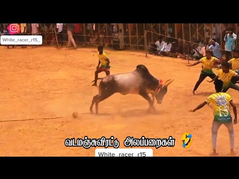 Jallikattu comedy  WhatsApp status