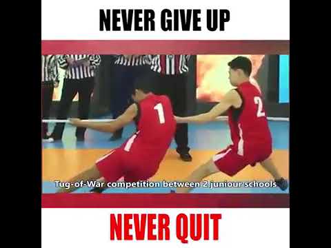 #neverquit #shorts #sharukh #short