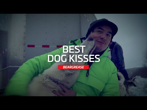 Dog Kisses Are The Best Kisses | QRILLPAWS 2021