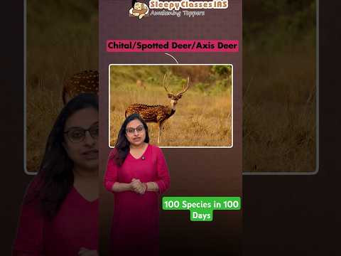 All about Chital Deer for UPSC Prelims 2025