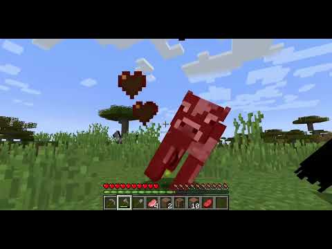 Minecraft first gameplay on my channel