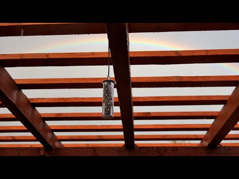 Rain showers end of day August 25 2024 in the Chiricahua Mountains