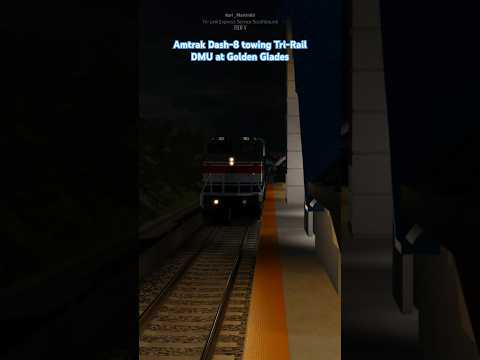 Amtrak Dash-8 towing Tri-Rail DMU at Golden Glades