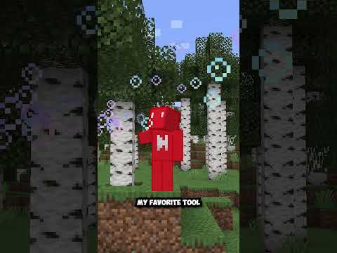 A Mod That Adds Your Random Ideas to Minecraft | Mod is Supplementaries