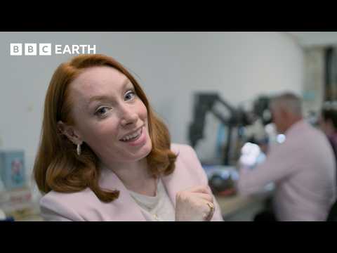 How Microchips Made Bank Cards Safer | BBC Earth Science