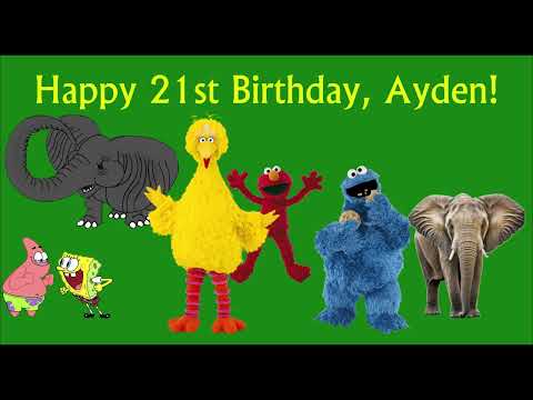 Aladdin and Big Bird in Penguinland (Happy 21st Birthday, Ayden!)