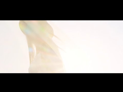 蛍 -firefly- / HarryP ft. 初音ミク (Official Music Video)