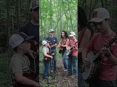 Just a little bluegrass in the woods. #bluegrass #thebiscuiteaters