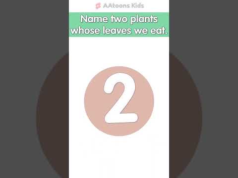 Plants Quiz for Kids