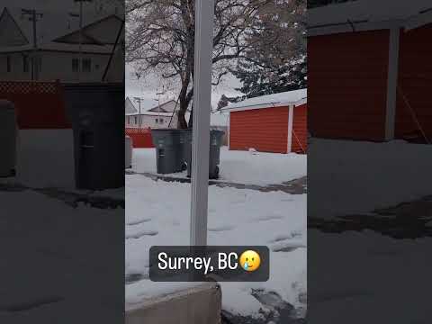 weather in surrey British Columbia #canada