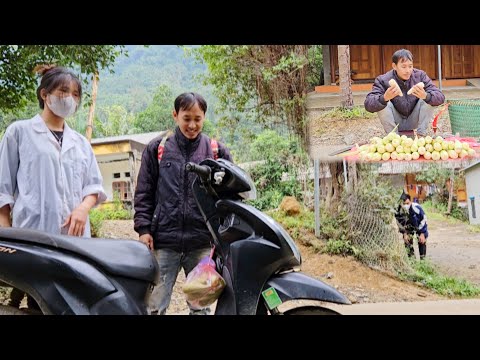 Single father,harvest sticky corn for sale at market, dating a nurse and discovered by husband