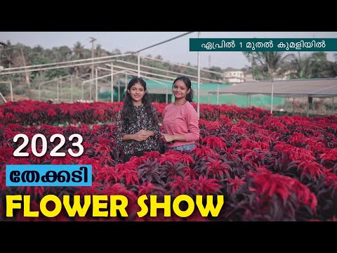 ഇത്തവണ പൂക്കളുടെ വിസ്മയം കാണണ്ടേ?? 🌼🏵️Thekkadi Flower Show 2023 தேக்கடி மலர் கண்காட்சி-2023