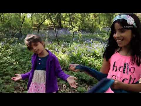 Bluebells | Burgesshill | Vlog 2 | Londonmalayalees | UK | Pretty Littl Tymz❤️