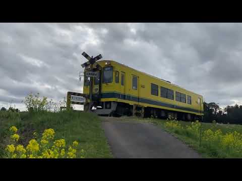 【春のいすみ鉄道】第ニ五之町踏切にて