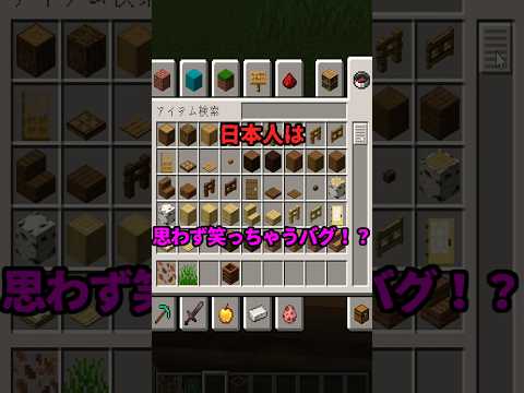 【マイクラ】日本人しか笑えないバグ！？ #マインクラフト #マイクラ#ゲーム