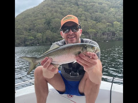 Fishing Corrage Point, Ku-ring-gai Chase National Park, NSW, Australia