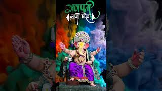 #bappalovers #ladkabappaganpatibappa #bappalovesong #ganpatibappamorya #majhabappakitigoddisto