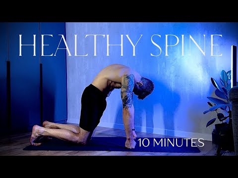 10-Minute Yoga for Back Health | Beginner-Friendly Daily Practice