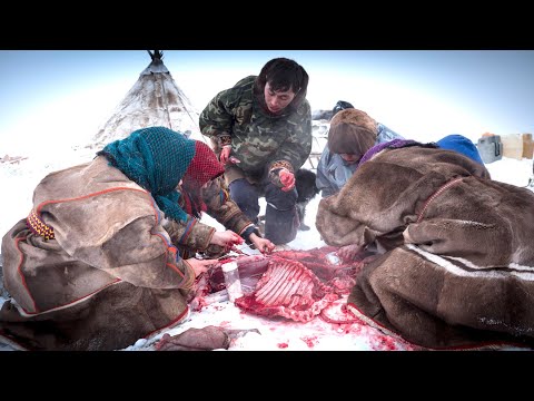 Reindeer Ritual - Raw meat shared by family of Nenet Herders