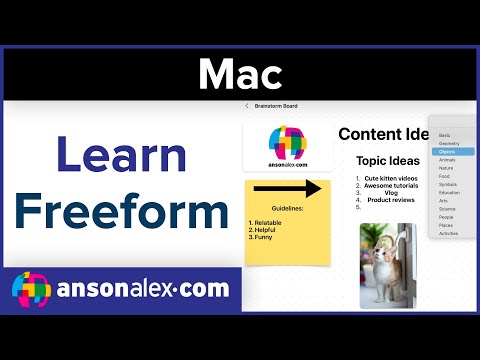 How to Use Freeform for Mac for Beginners | Full Tutorial