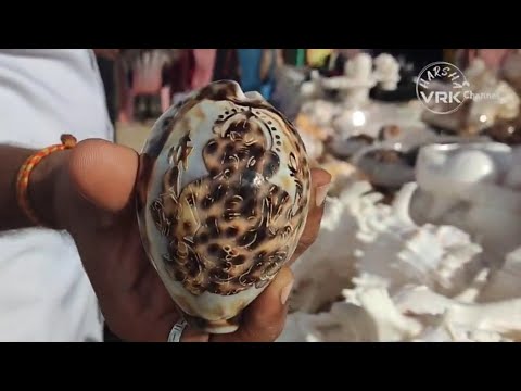 CHENNAI MERINA Beach Full view surrounding and shops