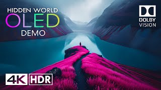 HIDDEN WORLD🌍Dolby Vision HDR 4K Video ULTRA HD (60 FPS)