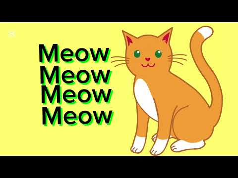 Fun Animal sounds song facts