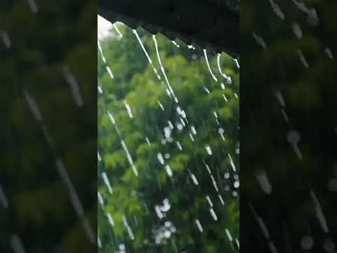 rain sounds for sleepthe sound of rainrain and thund