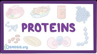 Proteins