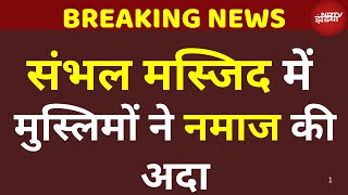 Sambhal Holi 2025 |Devotees leave After Offering Prayers | Holi Controversy News | Top News