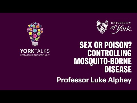 Luke Alphey - Sex or poison? Controlling mosquito-borne disease (YorkTalks 2024)