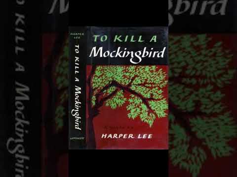 To kill an Eminem bird #eminem #harperlee #mokingbird #slimshady #rap