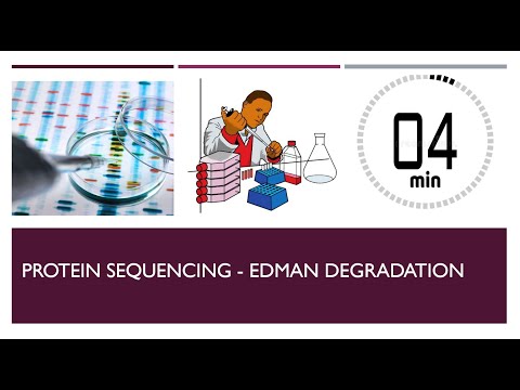 Protein Sequencing - Edman Degradation