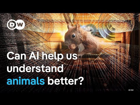 AI in Animal Conservation