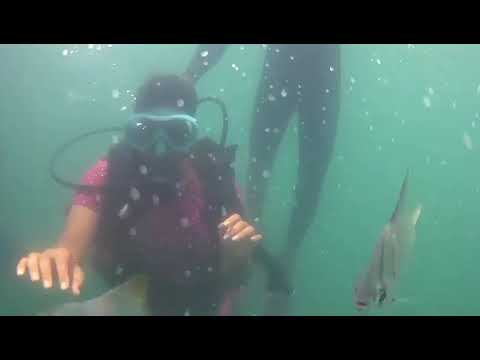 A short video from my first ever 🌊Scuba Dive in Goa💫 #shalushanty #goa #travel #scuba #scubadiving