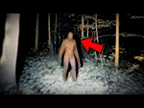 5 Scary Videos That'll Make Sleep IMPOSSIBLE...