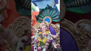 #ganpatibappamorya_ #youtube #youtubeshorts #ytshorts