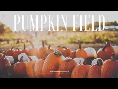 #166 Pumpkin Field (Official)