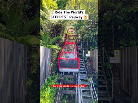 SYDNEY MUST DO! Scenic World at Blue Mountains National Park 🚠 #sydney #bluemountains #australia